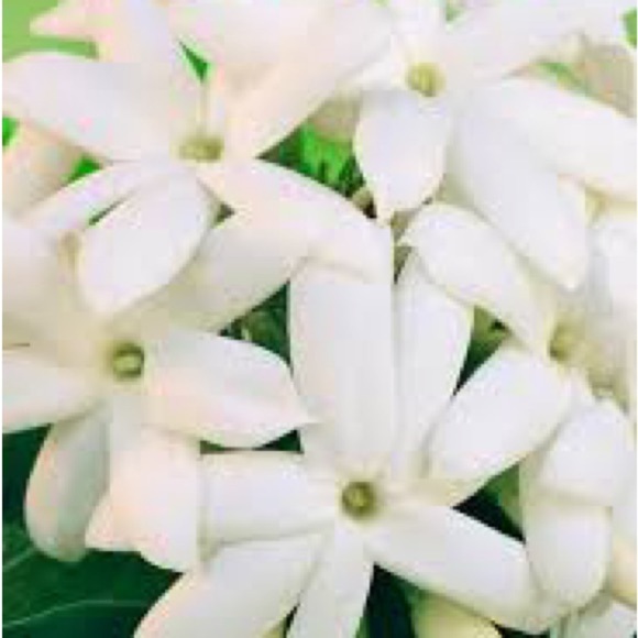 Set of 2 Handmade Pikake Diffusers – Hawaiian-Inspired Scent - Picture 4 of 4